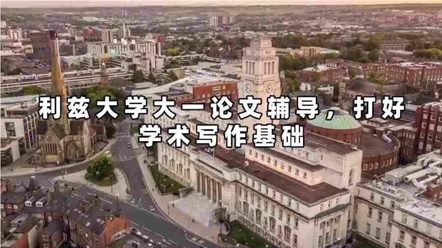 利兹大学大一论文辅导
