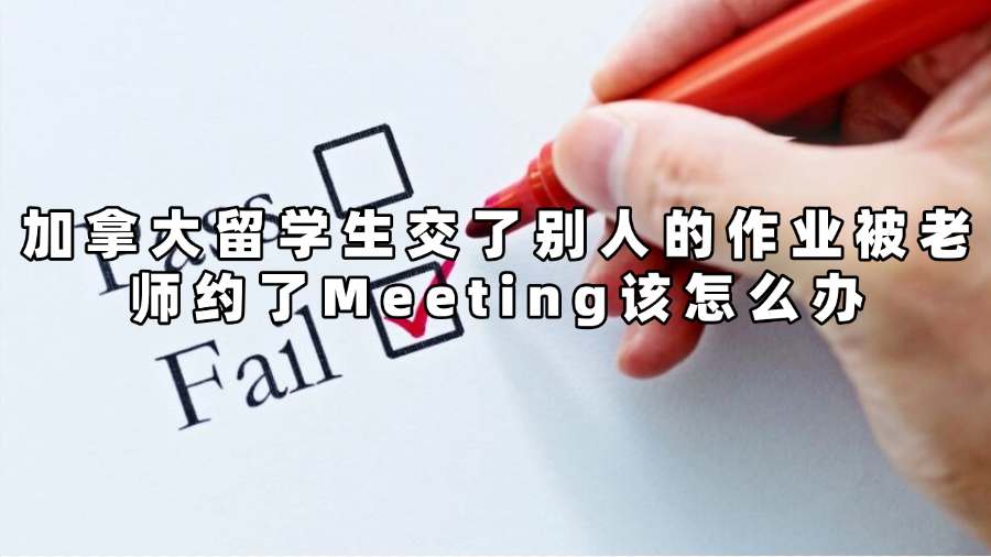 加拿大留学生交了别人的作业被老师约了Meeting该怎么办