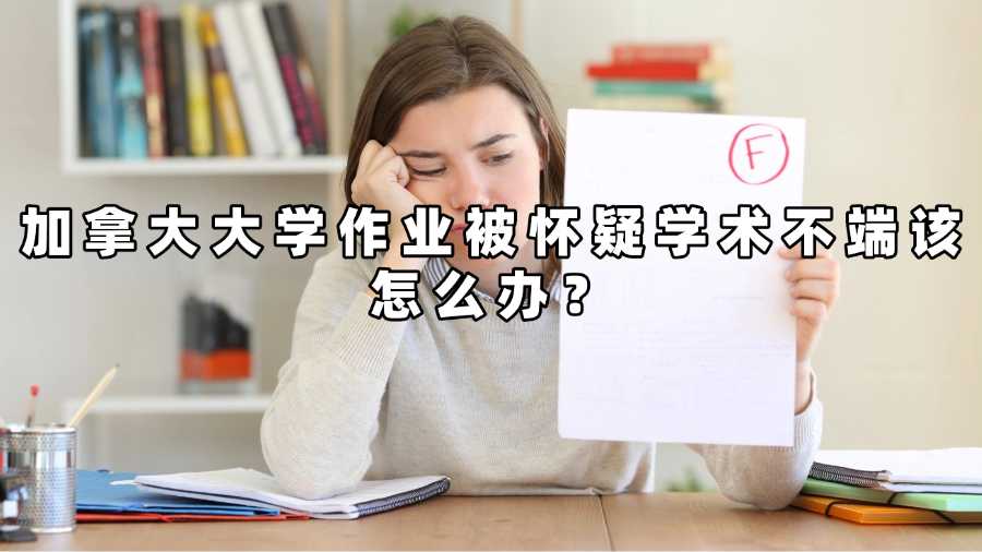 加拿大大学作业被怀疑学术不端该怎么办