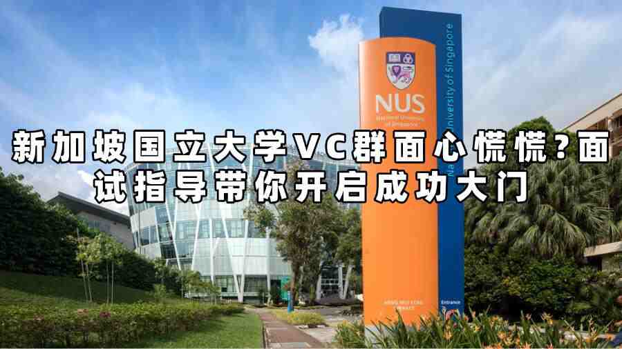新加坡国立大学VC群面指导