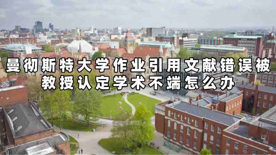 曼彻斯特大学学术不端