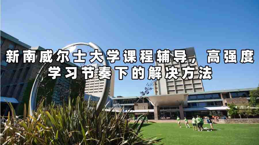 新南威尔士大学课程辅导