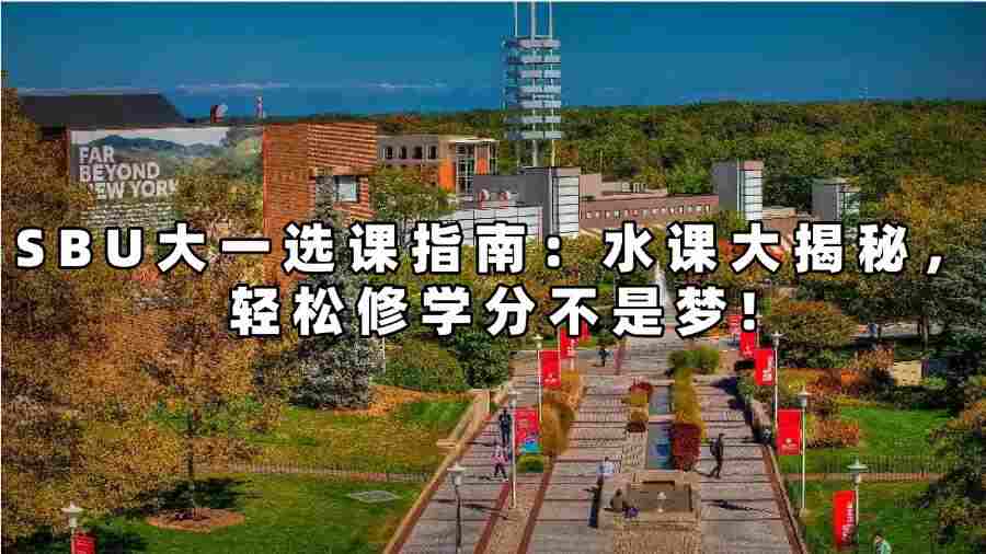 SBU大一选课辅导