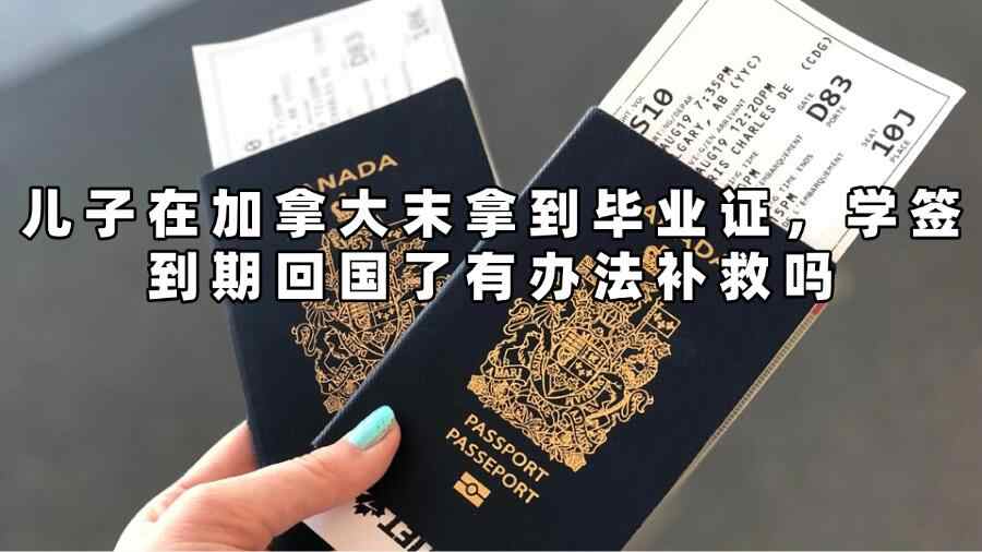 加拿大留学未毕业