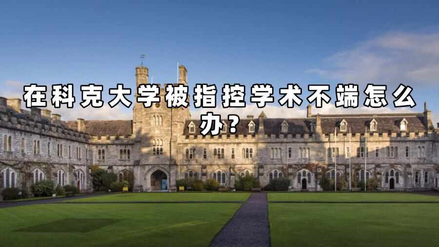 科克大学学术不端