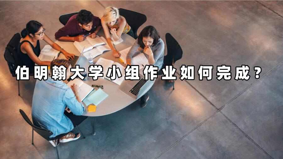伯明翰大学小组作业