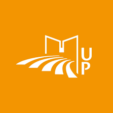 帕绍大学