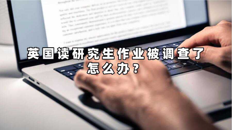英国读研究生作业被调查了怎么办