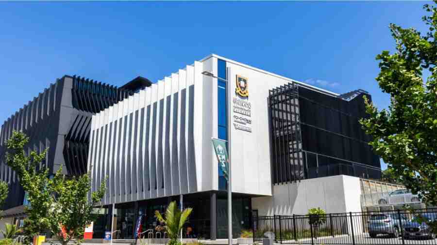 坏卡托大学选课辅导