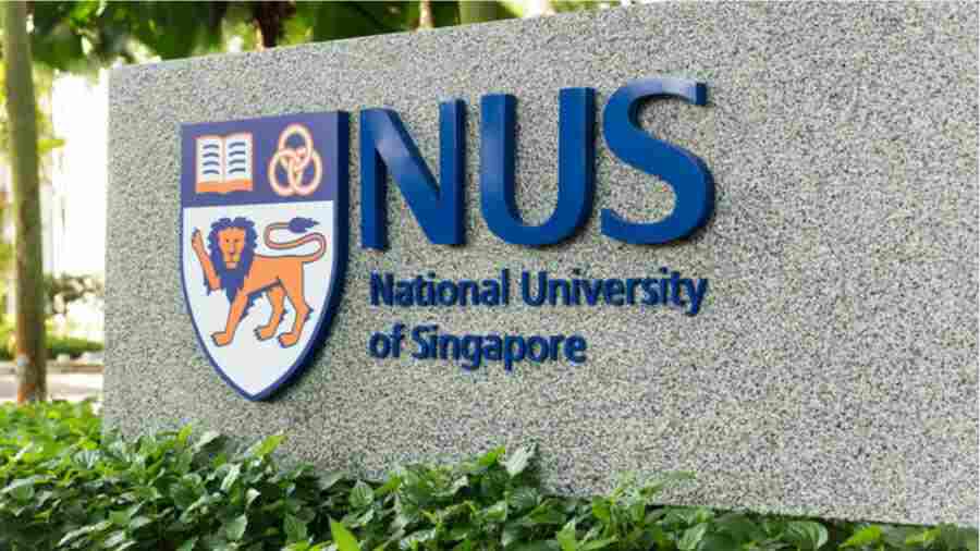 新加坡国立大学学术不端政策