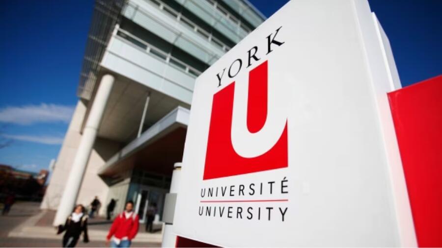 加拿大约克大学25届新生怎么选课
