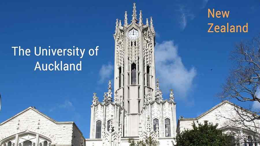奥克兰大学法学院大一新生选课攻略