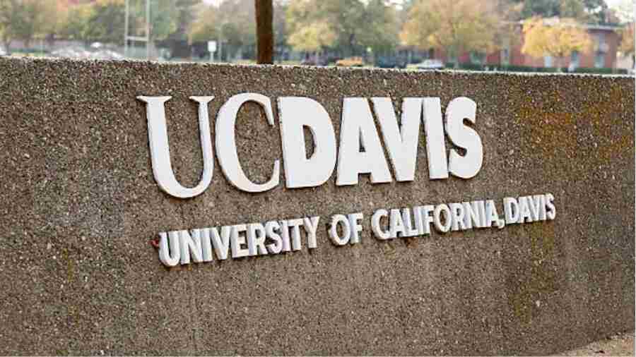 UC Davis暑校课程辅导