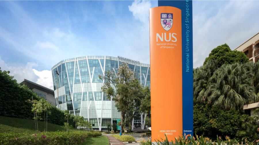 新加坡国立大学智能产业和数字化转型课程学习内容