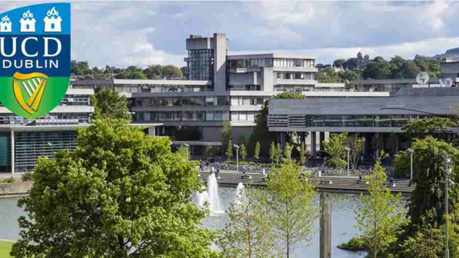 都柏林大学学术不端申诉