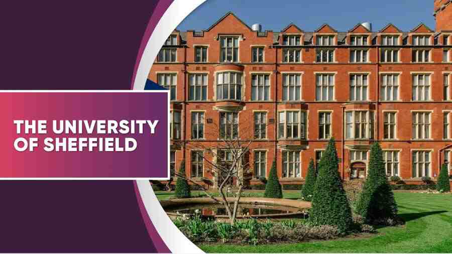 谢菲尔德大学劝退申诉