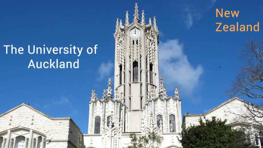 奥克兰大学课程辅导