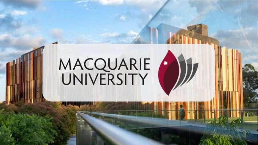 麦考瑞大学金融硕士论文写作指南