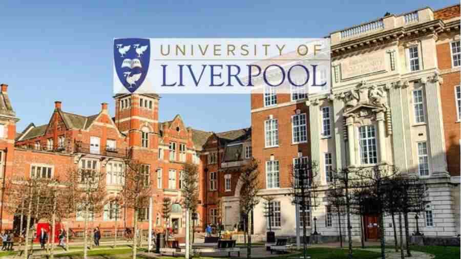 利物浦大学硕士毕业论文被查出来用AI怎么办