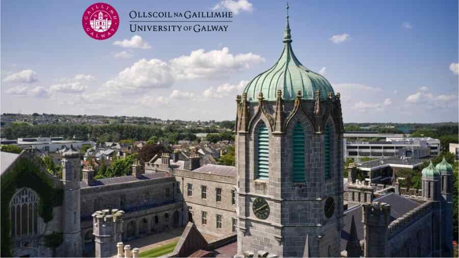 爱尔兰高威大学补考也挂了怎么办