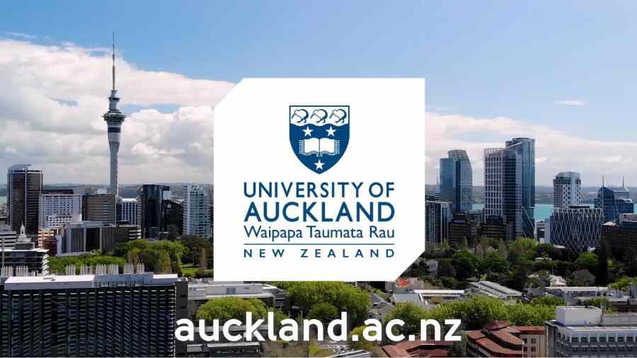 奥克兰大学BUS111课程补习