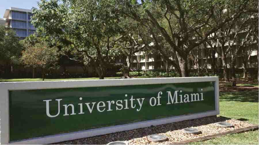 迈阿密大学被指控AI学术不端怎么办