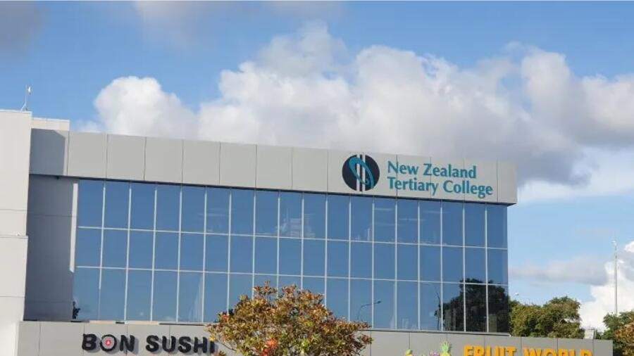 新西兰高等教育学院NZTC幼教Paper怎么写