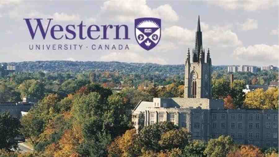 韦仕敦大学课程辅导哪家好