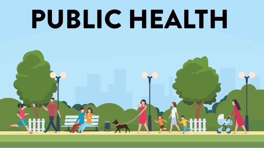 曼彻斯特大学公共健康课程辅导