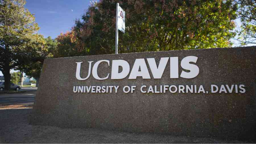 UCDavis大二被Dismissal怎么办