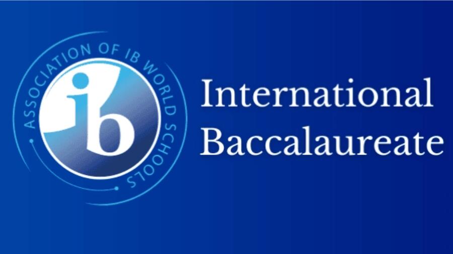 在IB DP中写出完美论文的5步指南