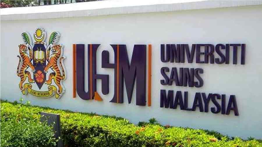 USM教育学硕士辅导