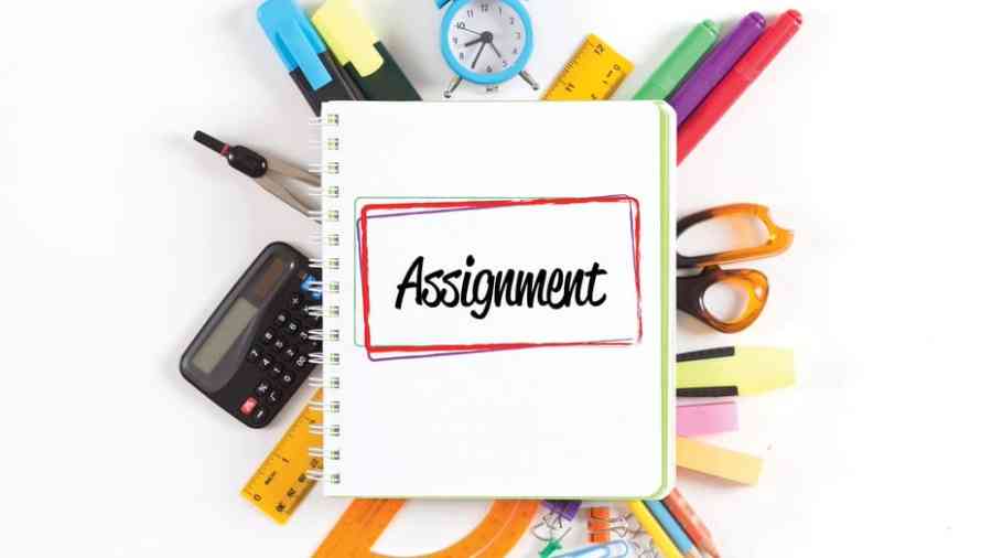 留学生作业辅导