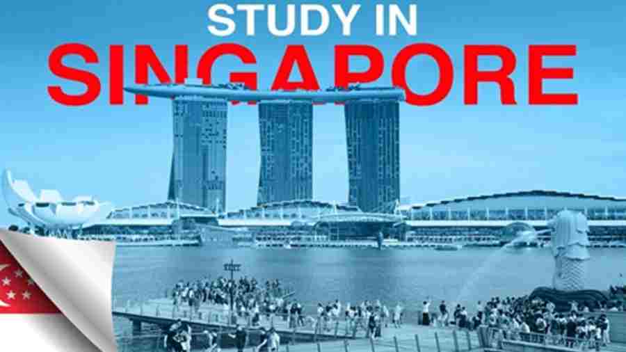 新加坡预科课程辅导