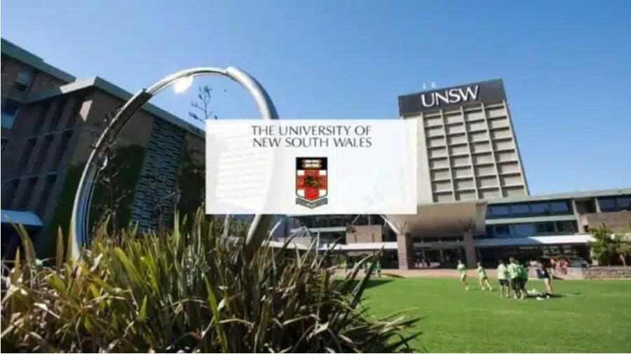 新南威尔士大学辅导