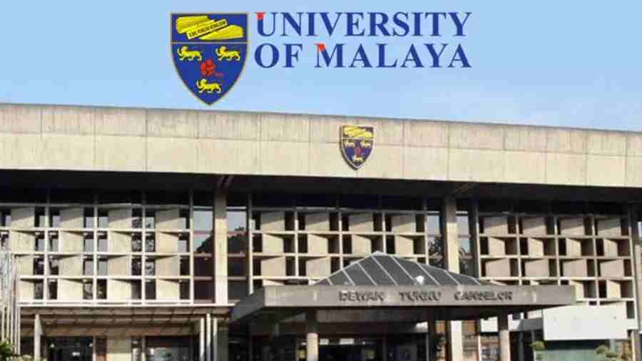 马来亚大学可持续发展科学怎么选课