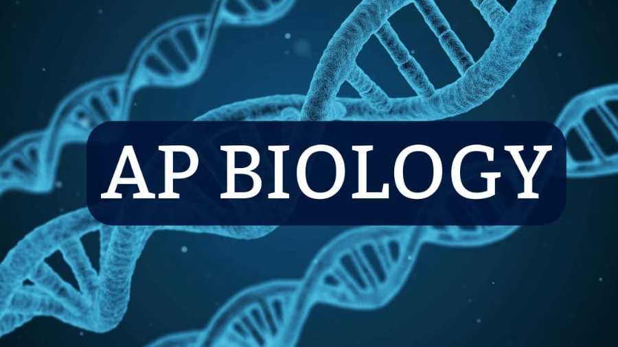AP生物学习建议