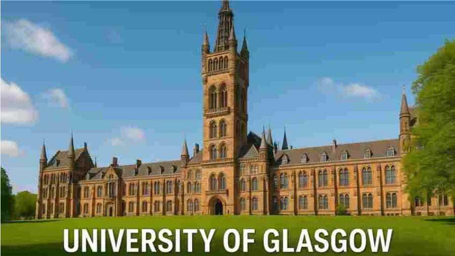 格拉斯哥毕业论文被指控作者身份问题怎么办