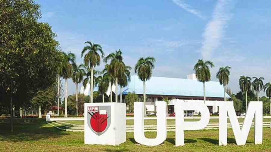 UPM传媒本科大一选课指导