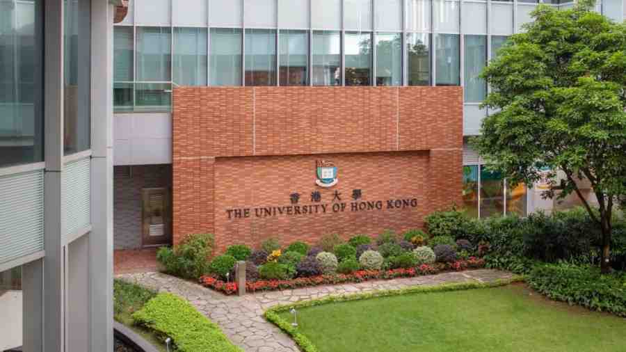 香港大学全球卫生与发展补习全攻略