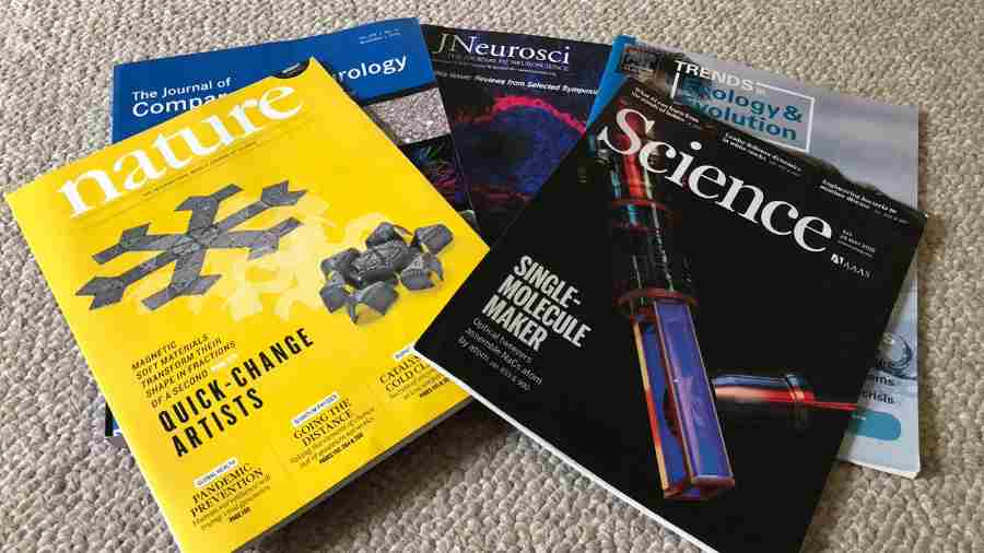 科研人必备10大期刊推荐