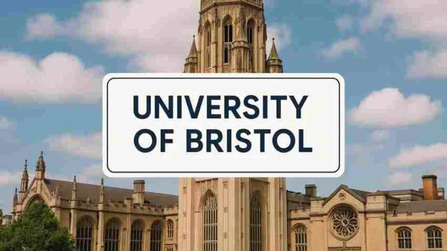 布里斯托大学Final考前复习攻略