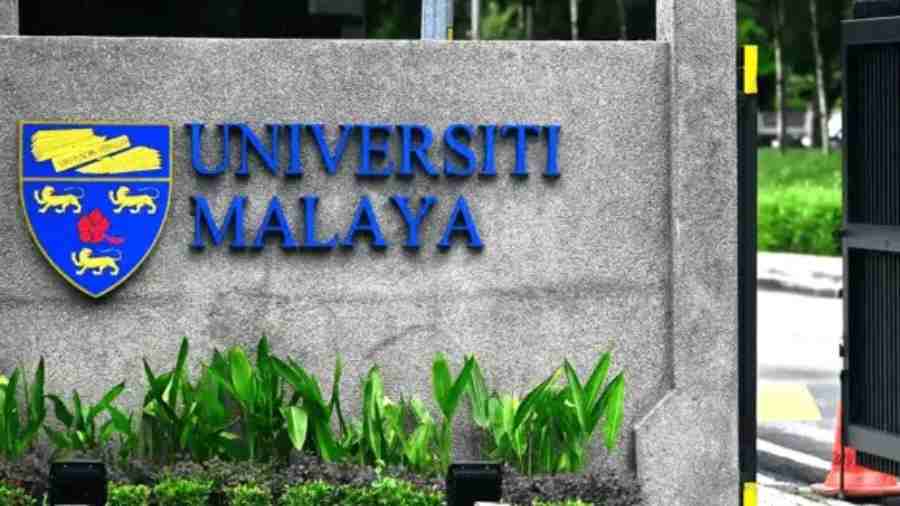 马来亚大学专属全年课业辅导