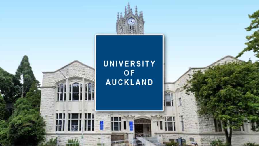 奥克兰大学校历