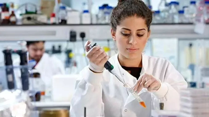 英国应用医学本科课程辅导全解析