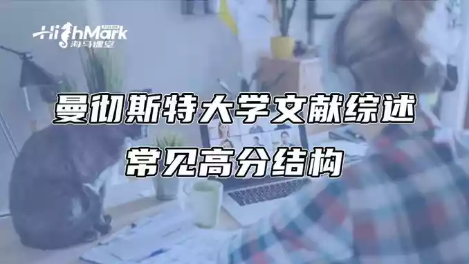 曼彻斯特大学文献综述常见高分结构