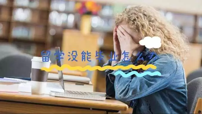 留学没能毕业怎么办