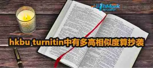 hkbu turnitin中有多高similarity算抄袭